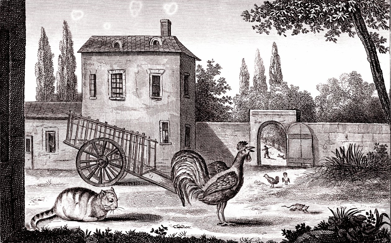 The Rooster, the Cat and the Mouse, Fable by La Fontaine by Emile Joseph Alexandre Gouget