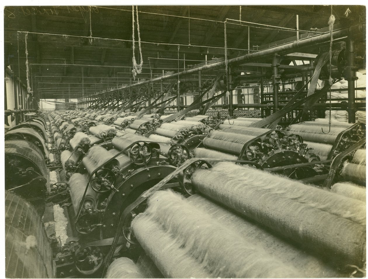 Carding Room 1, Leas Spinning Mill, 1923 by English Photographer