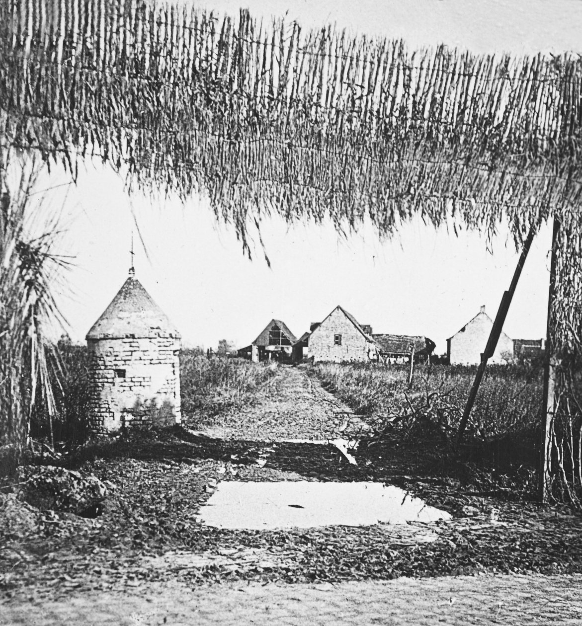 Ingenious Camouflage Used to Conceal Lines of Communication and Gun Emplacements from Hun Aviators by English Photographer