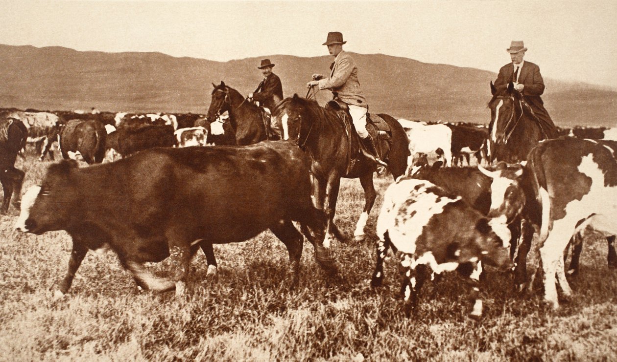 King Edward VIII Rounding Up Cattle in Alberta, Canada, 1920s by English Photographer