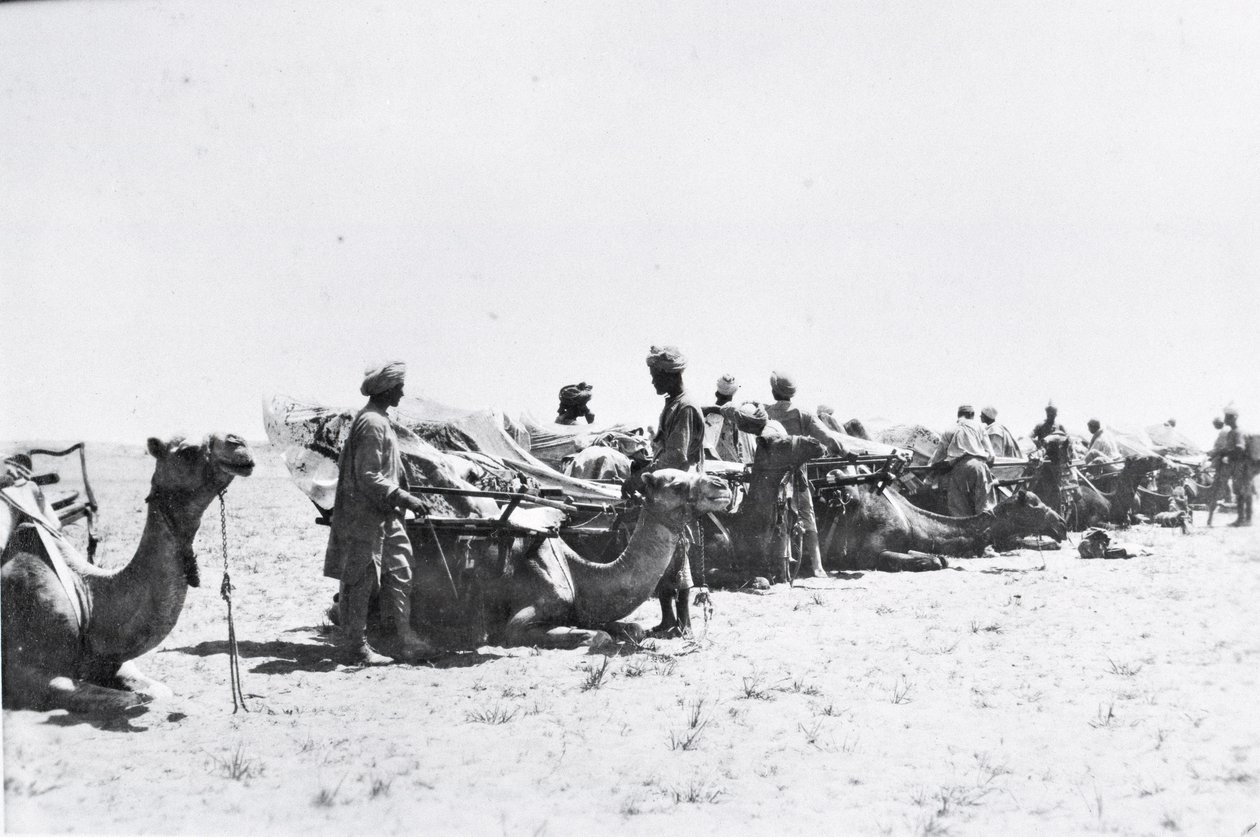 Soldiers with camels in Mesopotamia during World War One, from an album compiled by Lt. Kindom by English Photographer