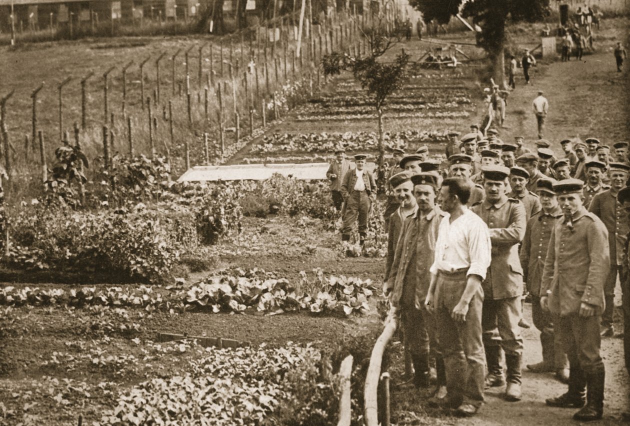 The Vegetable Garden, Eastcote, illustration from German Prisoners in Great Britain by English Photographer
