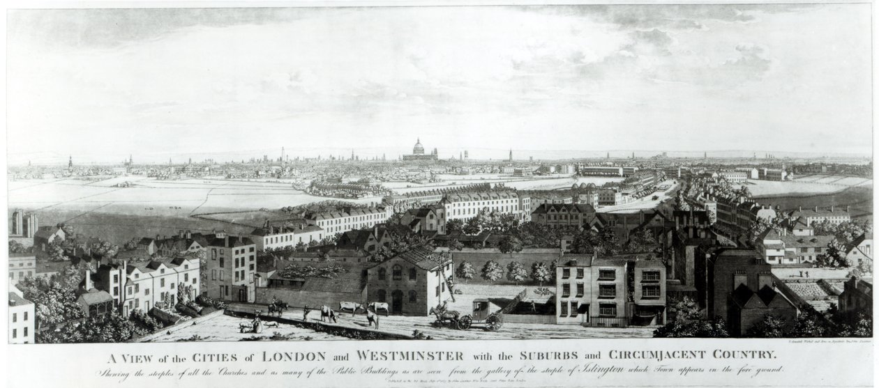 A View of the Cities of London and Westminster with Suburbs and Circumjacent Country by English School