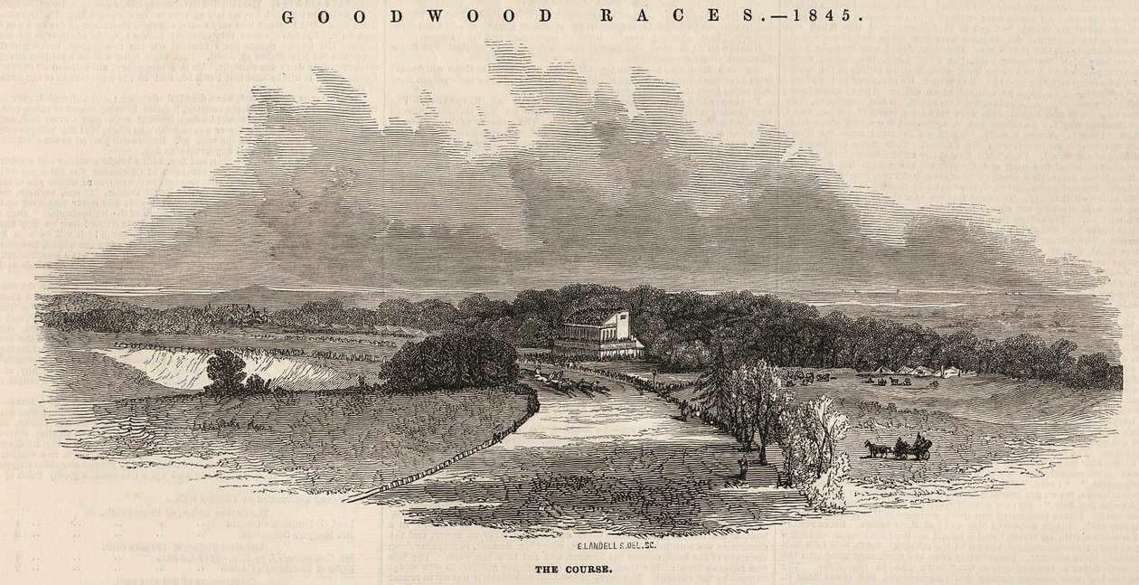 Goodwood Races: the Course, from 