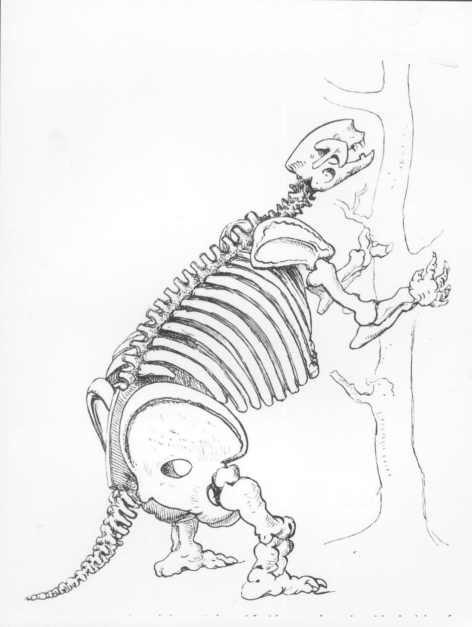 Skeleton of a Mylodon by English School