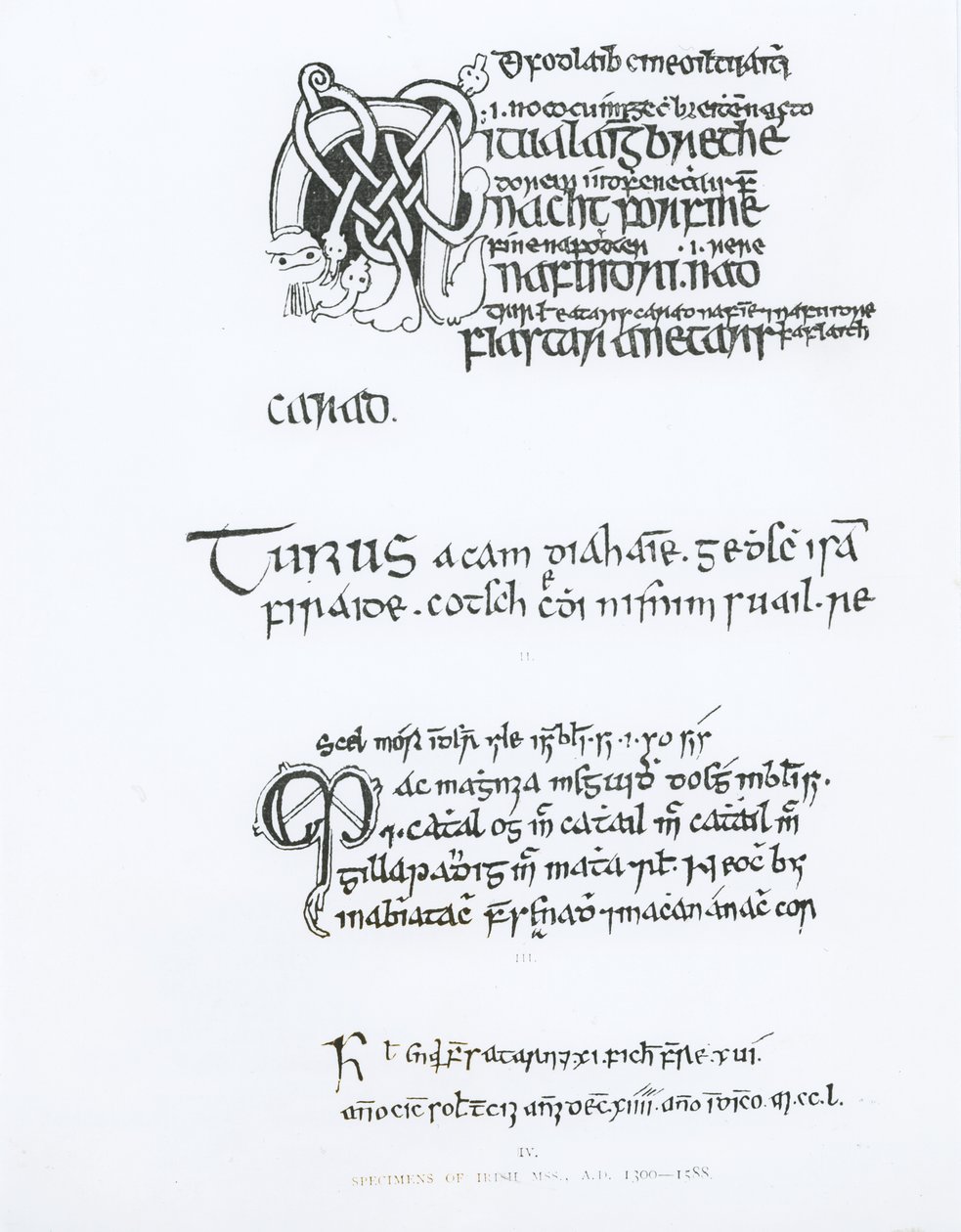 Specimens of Irish Manuscripts by English School