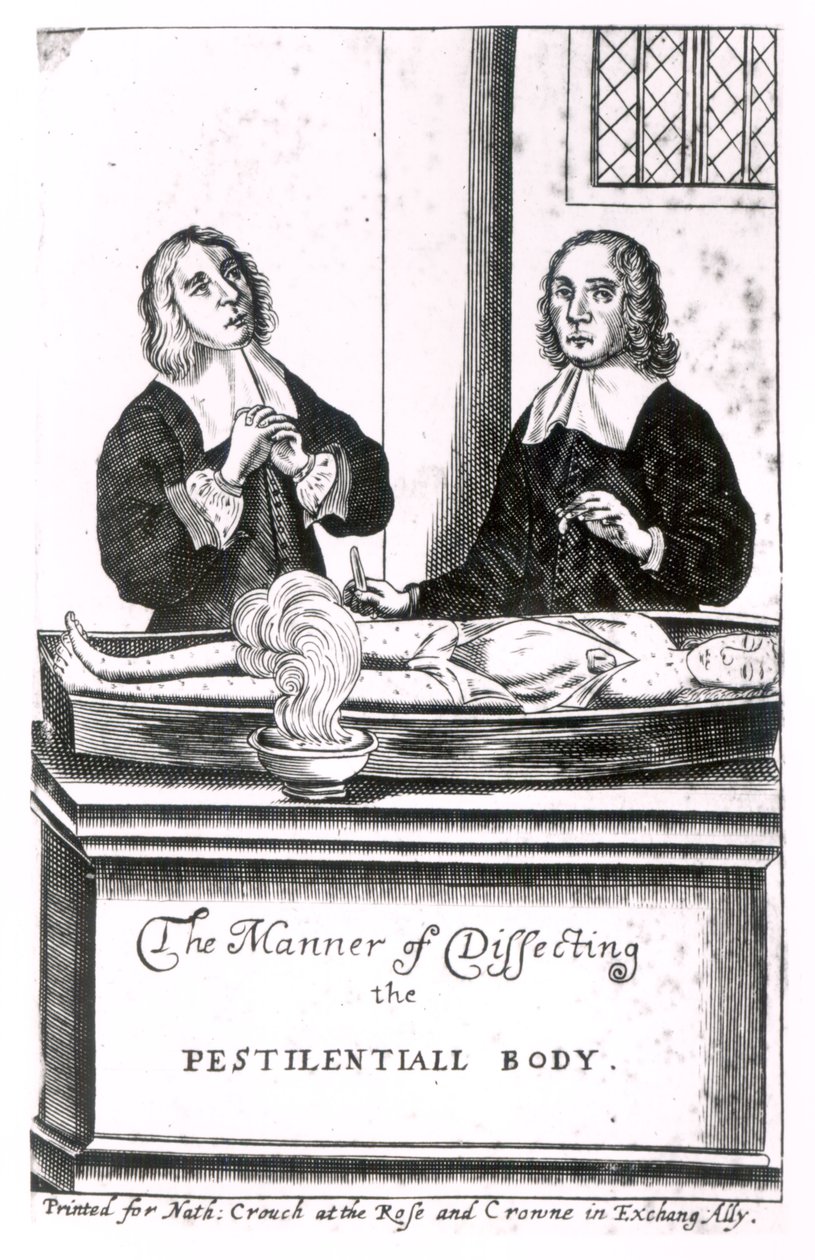 The Manner of Dissecting the Pestilential Body by English School