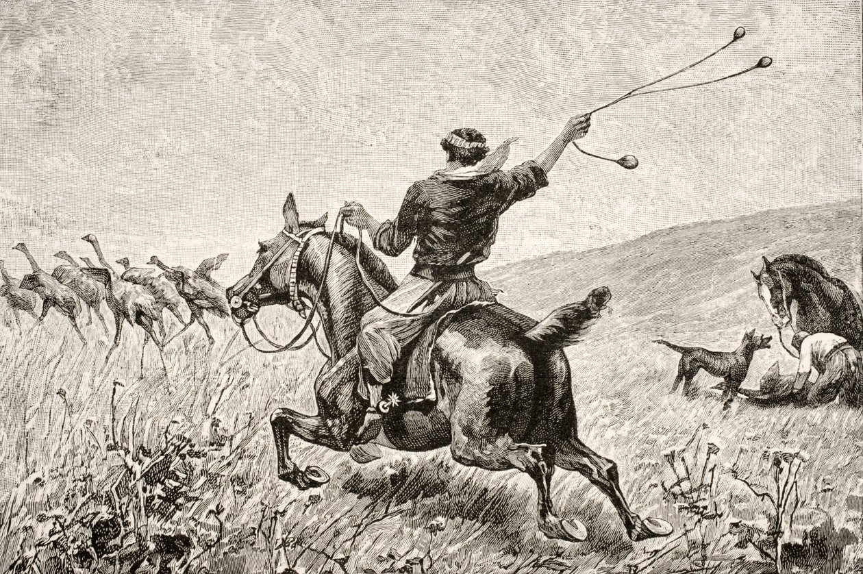 Throwing the Bolas by English School