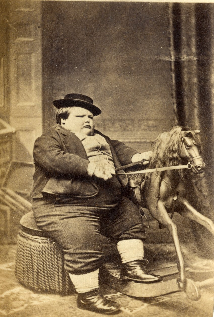 Master Richard Beanham by His Rocking Horse, 1870s by English Photographer