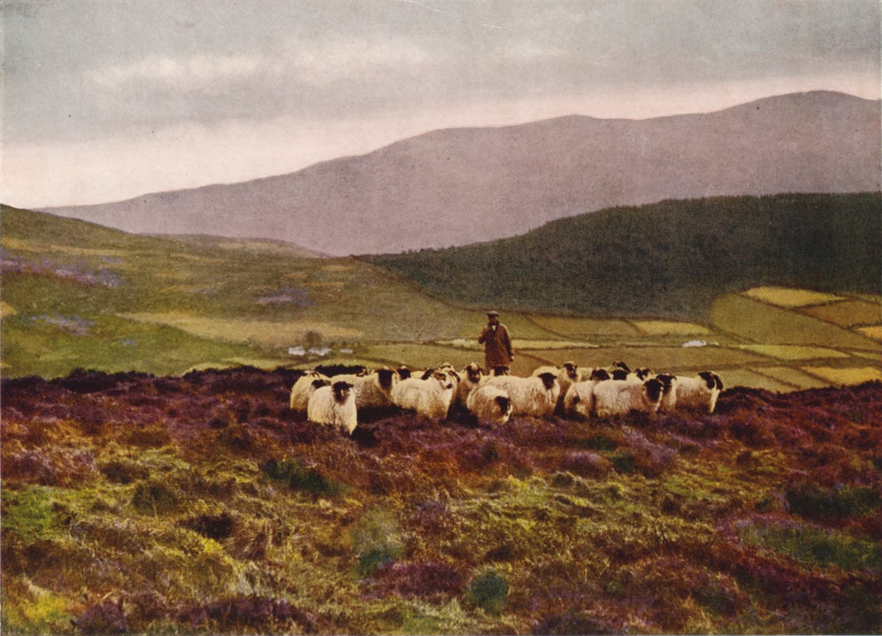 On the Mountains of Mourne, County Down by English Photographer