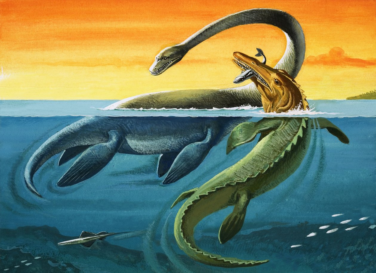 Prehistoric Creatures in the Ocean by English Photographer