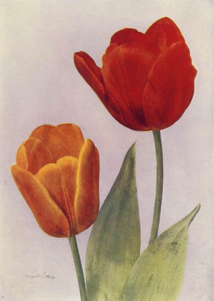 Prince of Austria and Fred Moore by English Photographer