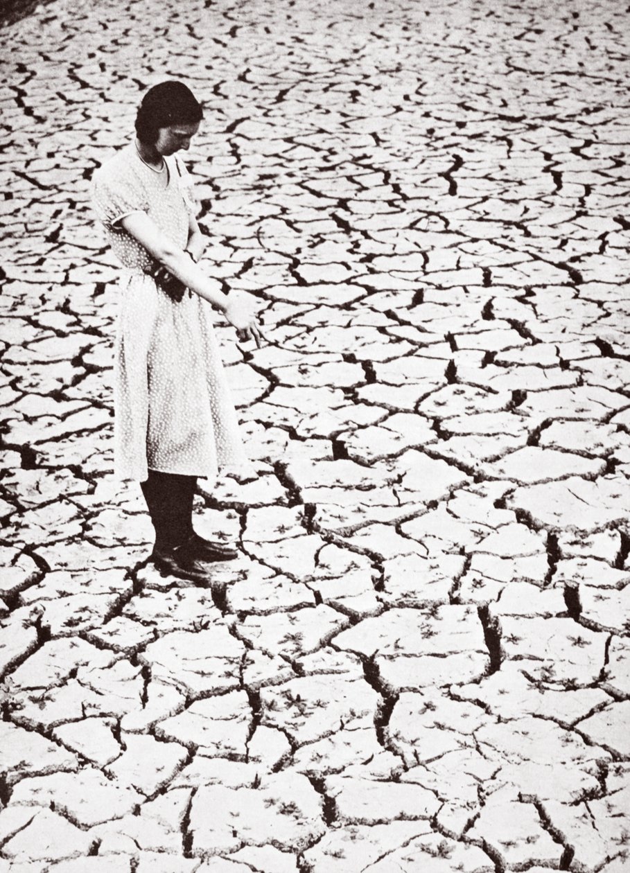 Tring Reservoir, Hertfordshire, 1934 by English Photographer