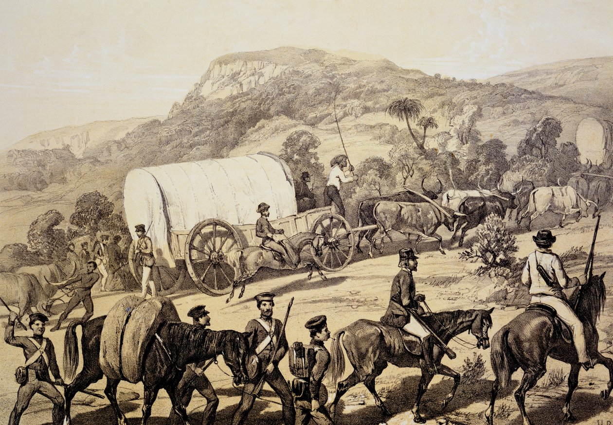 A Convoy of Wagons, from Scenes in Kafirland and Incidents in the Kafir War of 1851-53 by English School