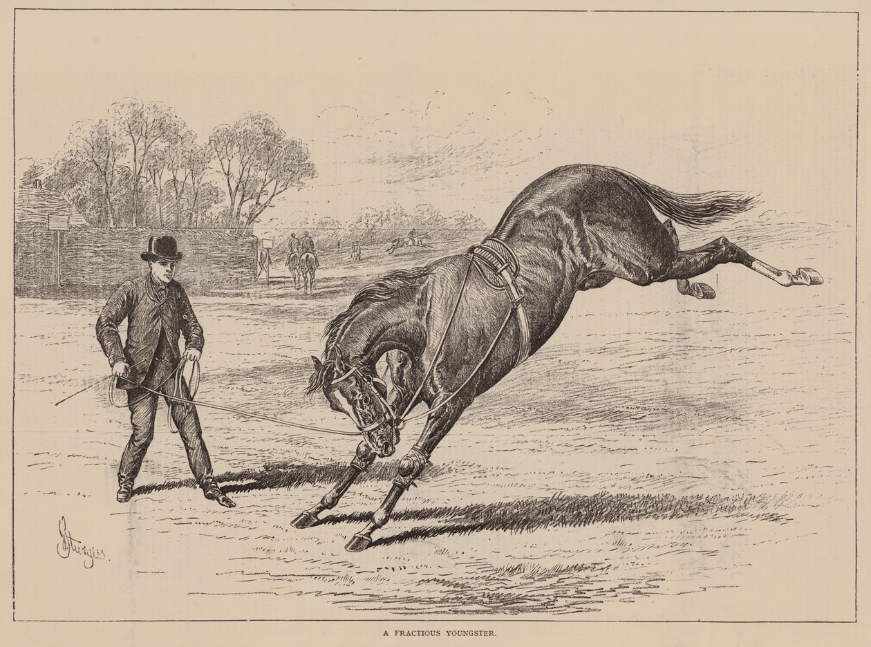 A Fractious Youngster by English School