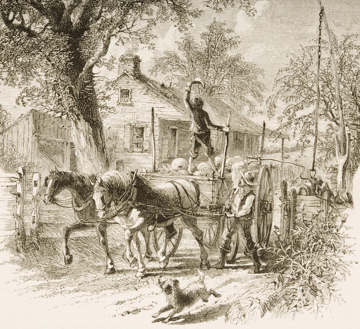 A Homestead in Kansas, from 