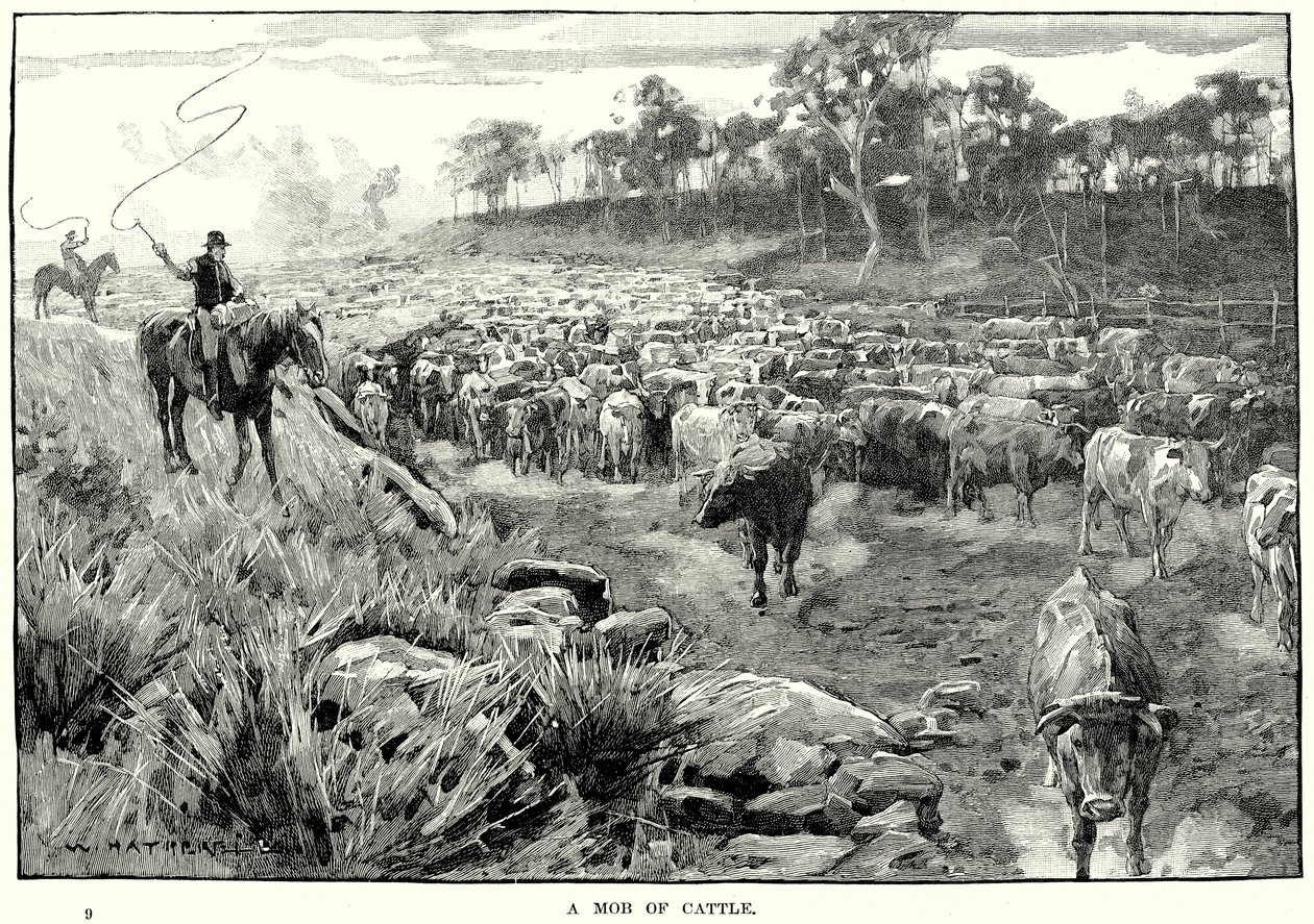 A Mob of Cattle by English School