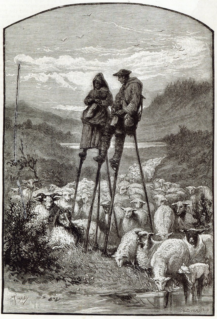 A Pastoral in the Landes, from 