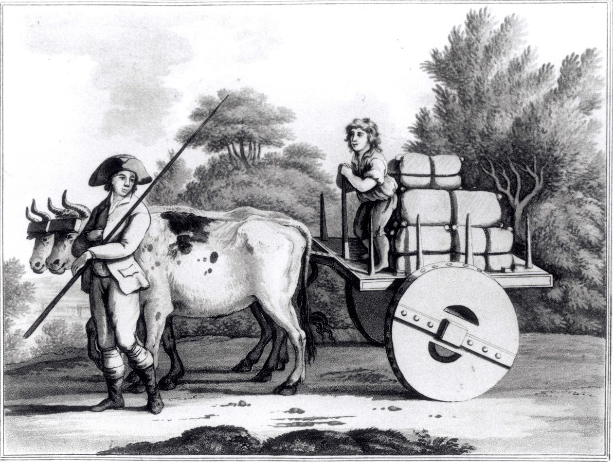 A Portuguese Farm, from A General View of the State of Portugal by James Murphy, published 1797 by English School