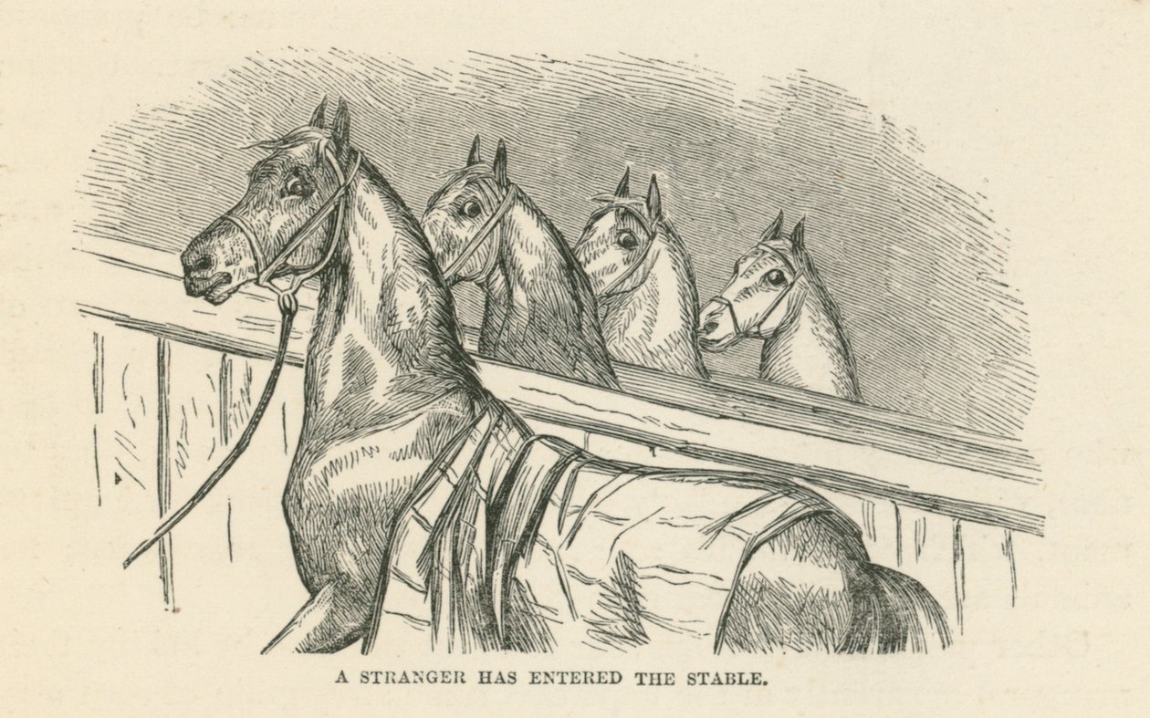 A Stranger Has Entered the Stable by English School