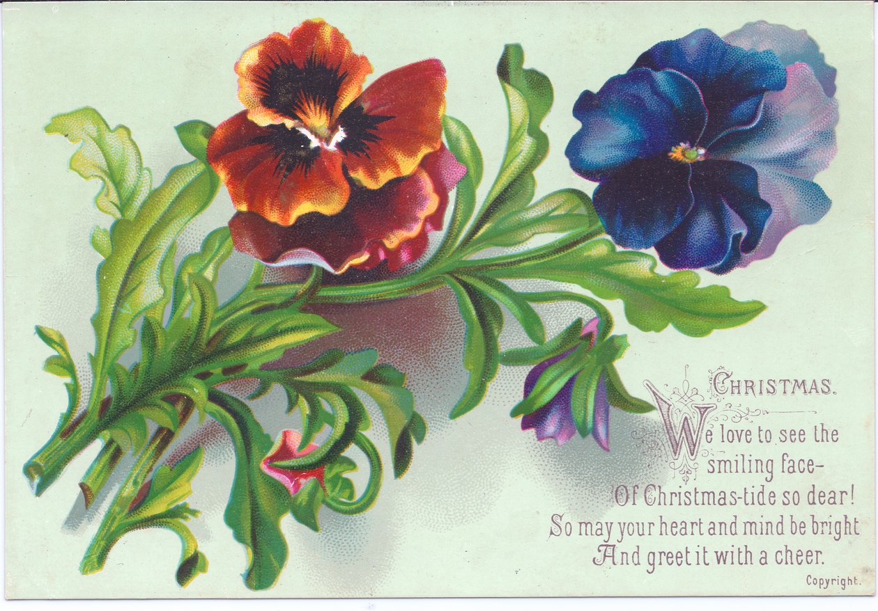 A Victorian Christmas card of a spray on pansies by English School