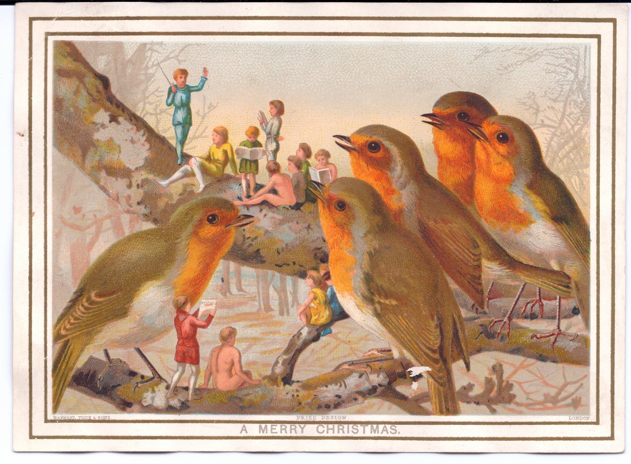 Victorian Christmas Card of Five Robins Perching on a Branch Listening to a Fairy Band by English School