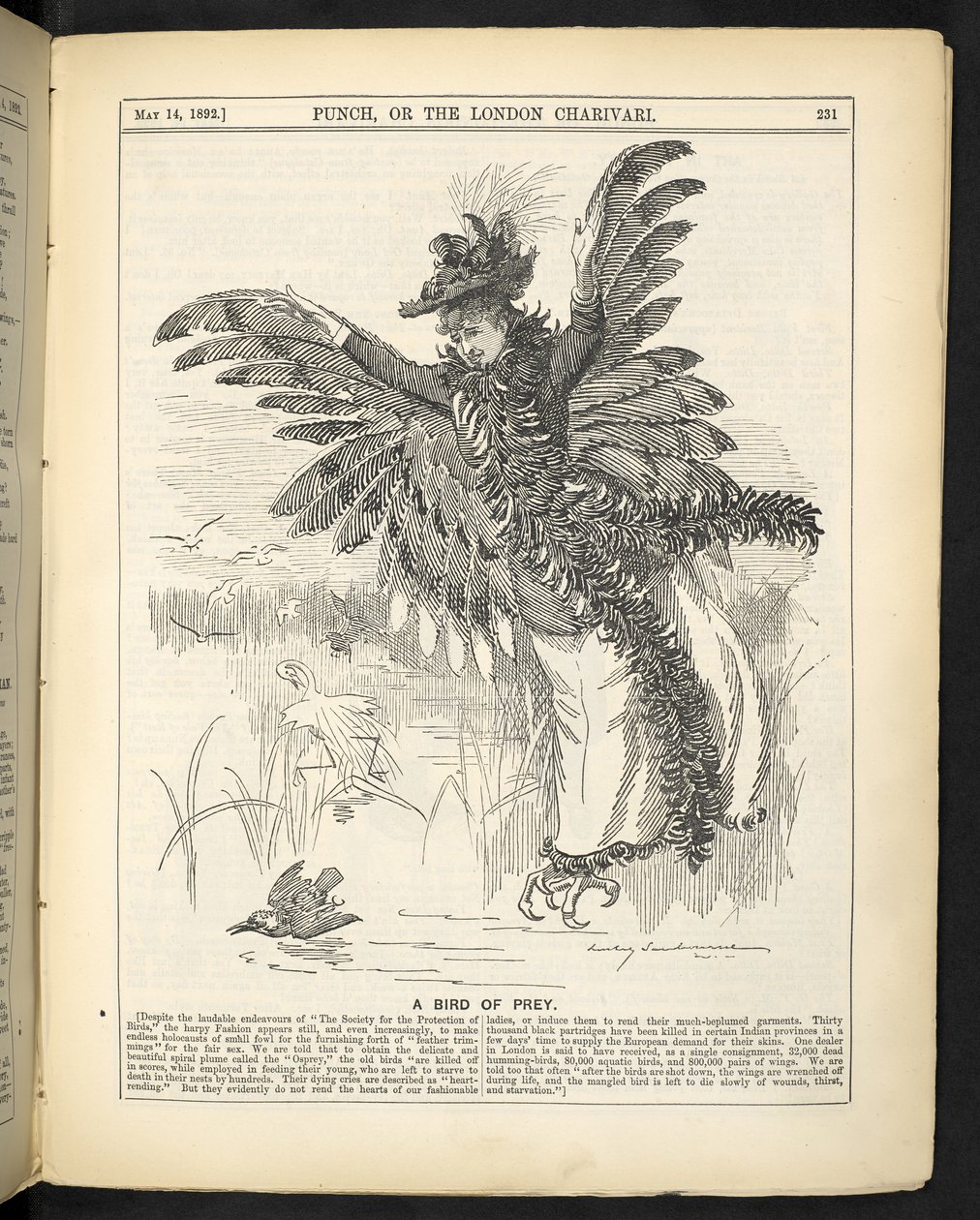 A bird of prey, from 