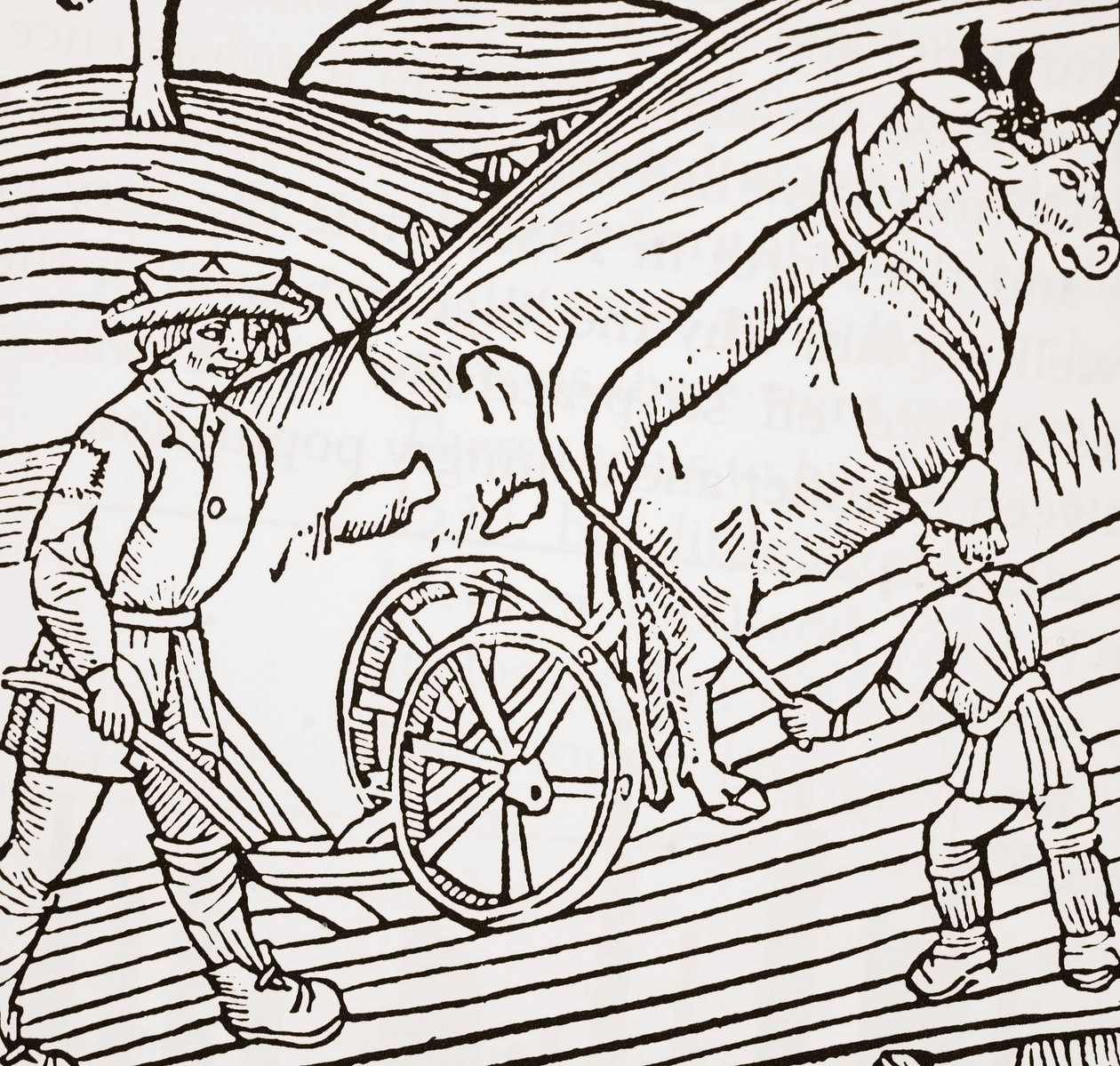 A pair of oxen yoked to a plough, titlepage from John Fitzherberts Boke of Husbandry, first pub. 1523 by English School
