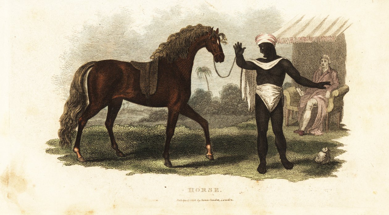 A Poor Arab Refuses to Sell His Mare to a Rich Buyer When He Discovers the Buyer is European by English School