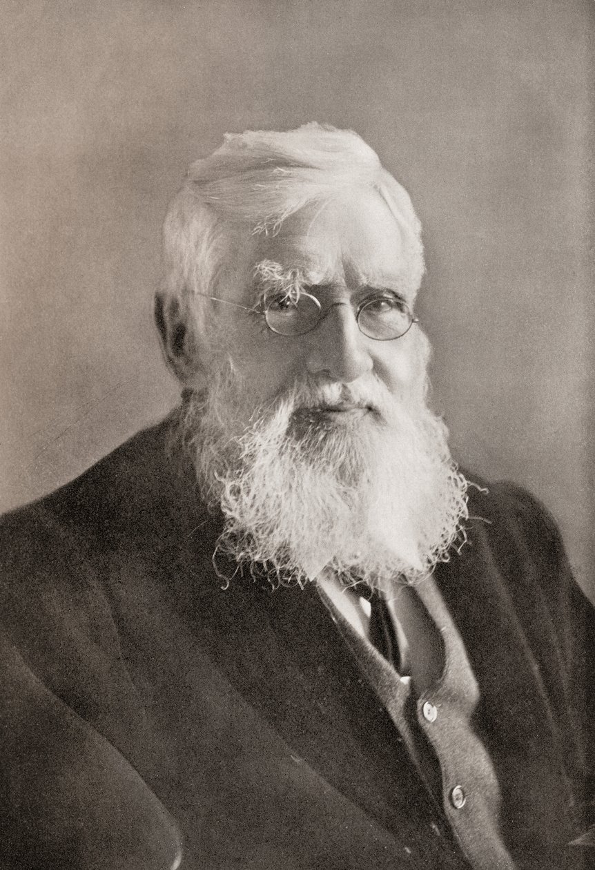 Alfred Russel Wallace, from 