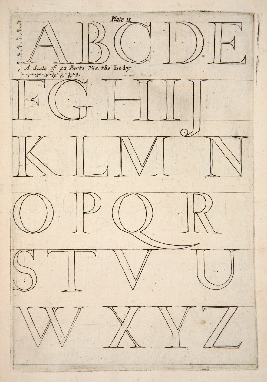 Alphabet Specimen Sheet by English School