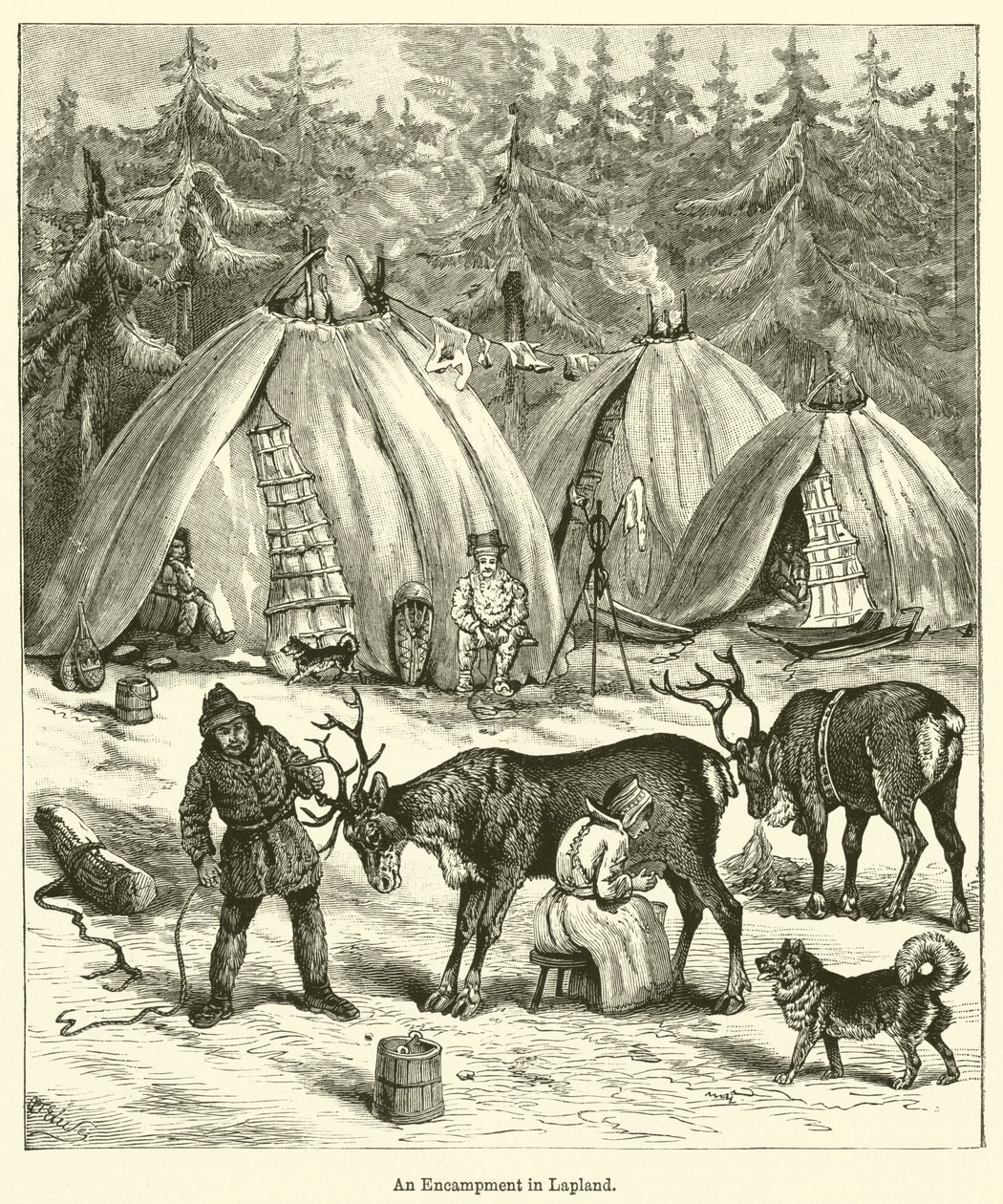An Encampment in Lapland by English School