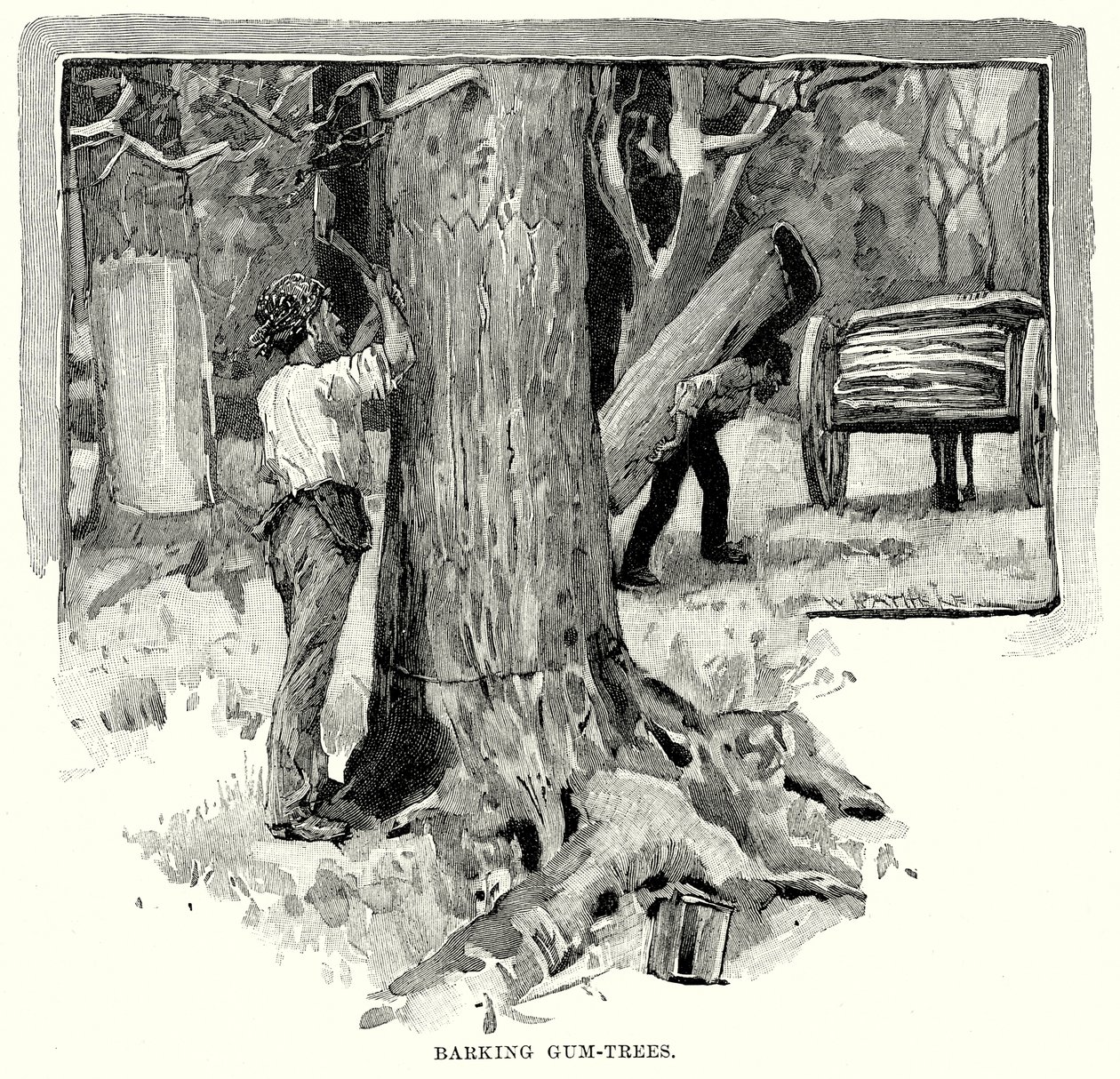 Barking Gum-Trees by English School