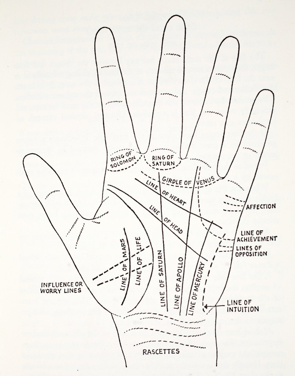 Basic Lines and Lesser Lines of the Hand by English School