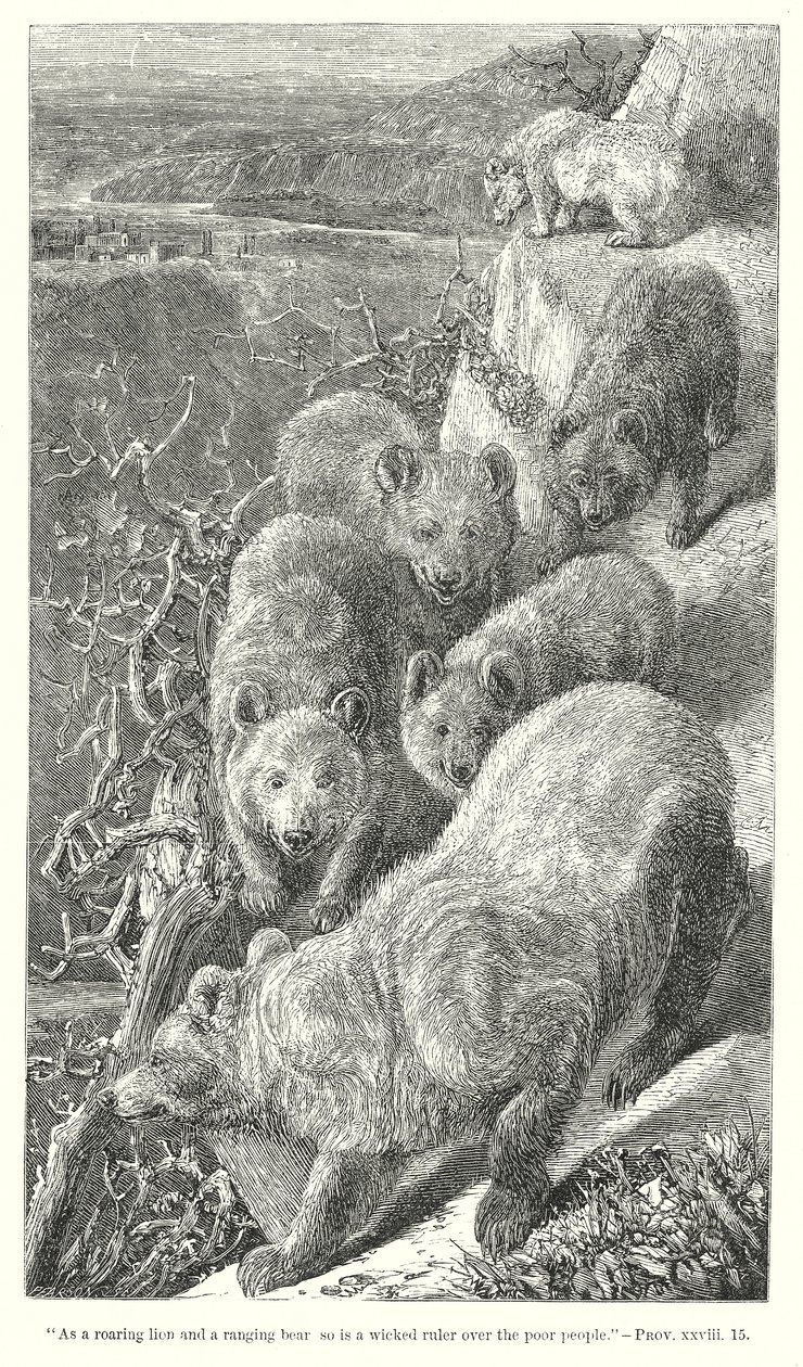 Bears by English School