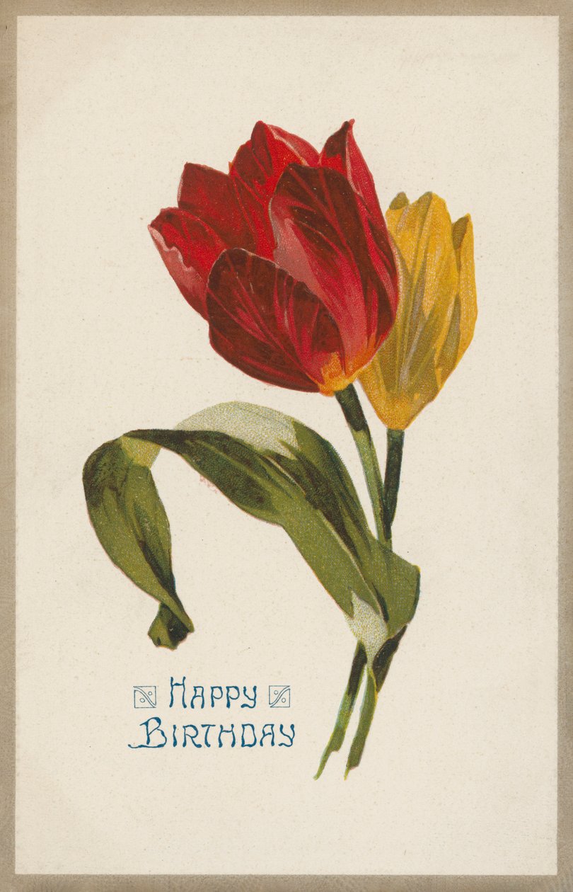 Birthday greetings card by English School