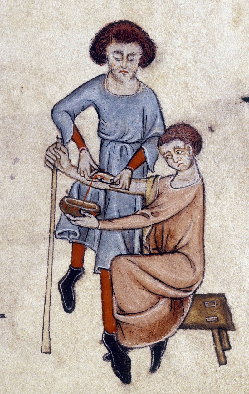 Blood Letting, from the Luttrell Psalter, c.1325-35 by English School
