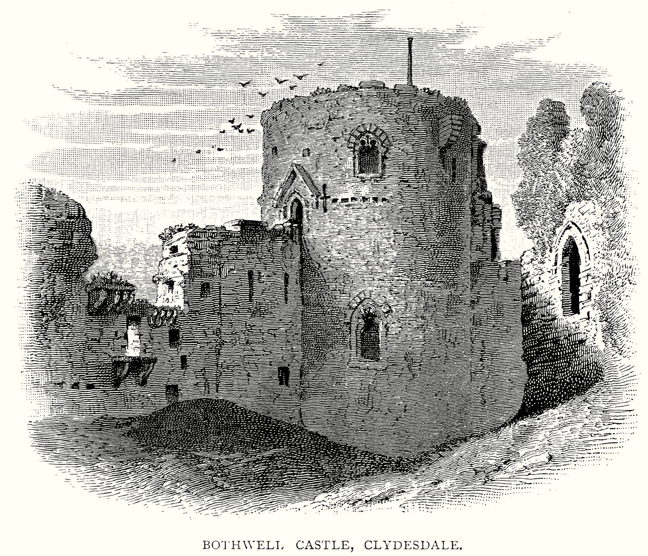 Bothwell Castle, Clydesdale (engraving) by English School