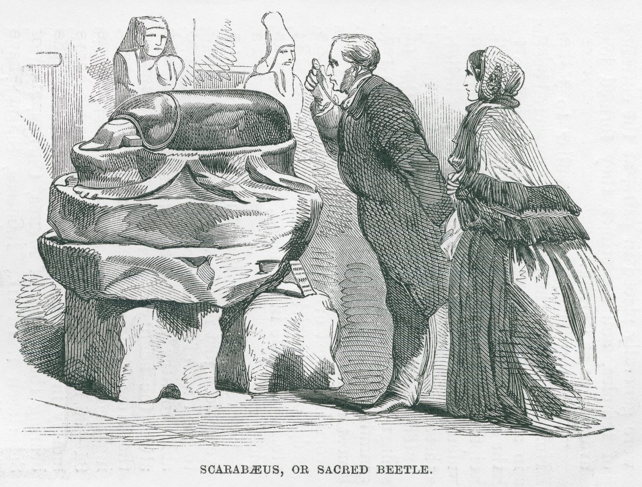 British Museum: Scarabaeus, or Sacred Beetle by English School