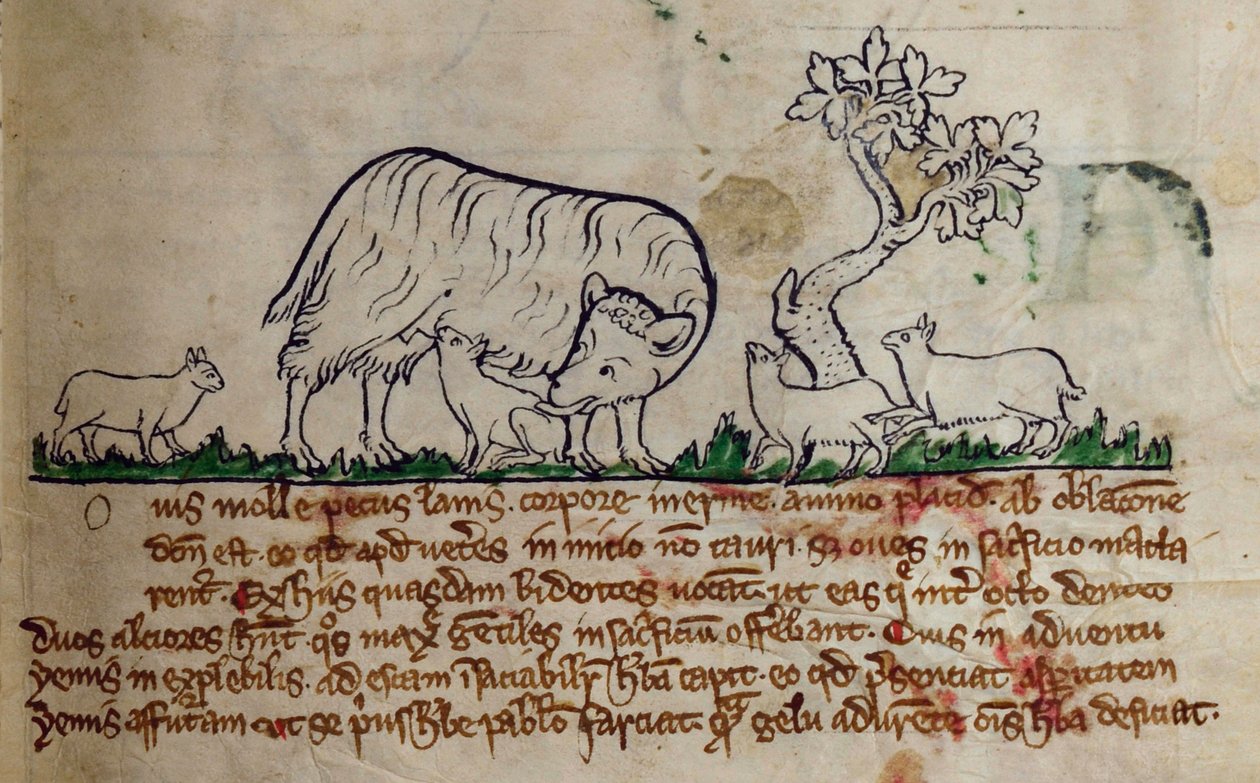 Sheep, from Bestiary by English School