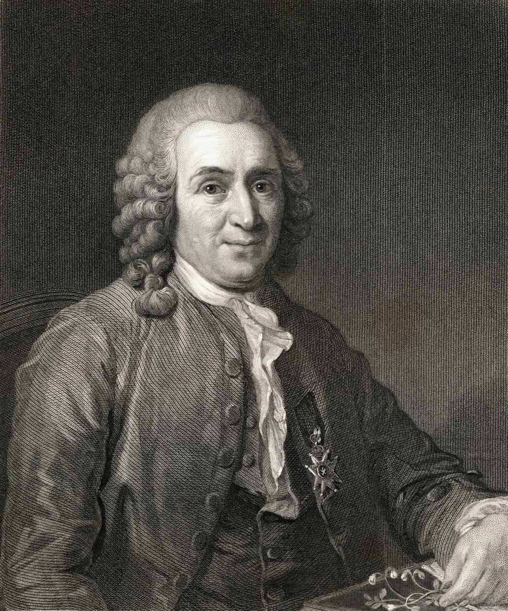 Carl von Linne or Linnaeus from Gallery of Portraits, published in 1833 by English School