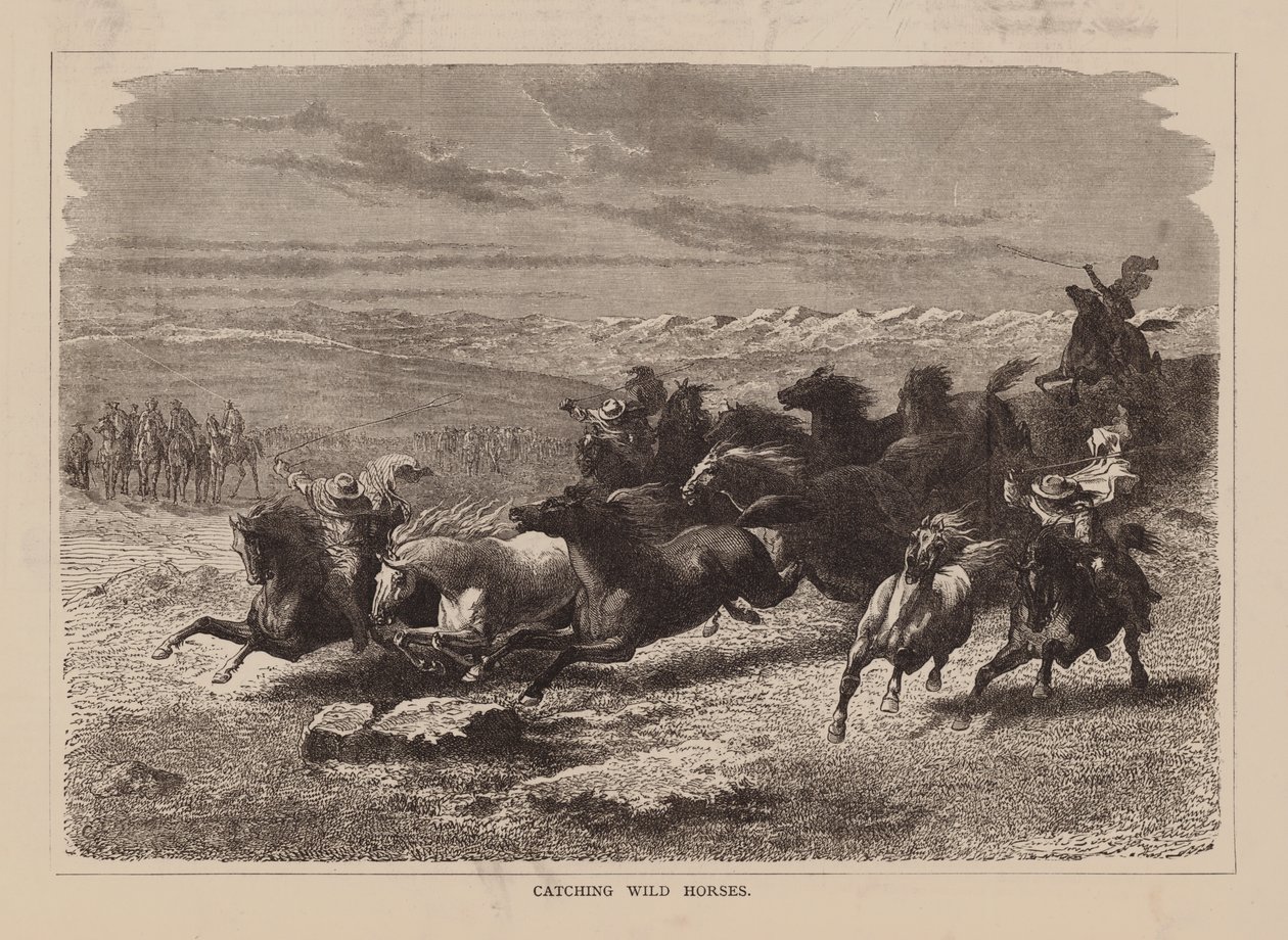 Catching Wild Horses by English School