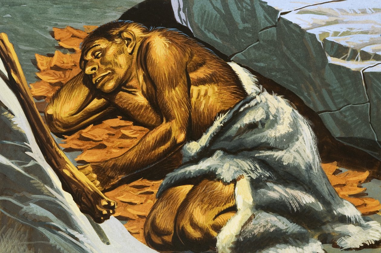 Cave man sleeping by English School