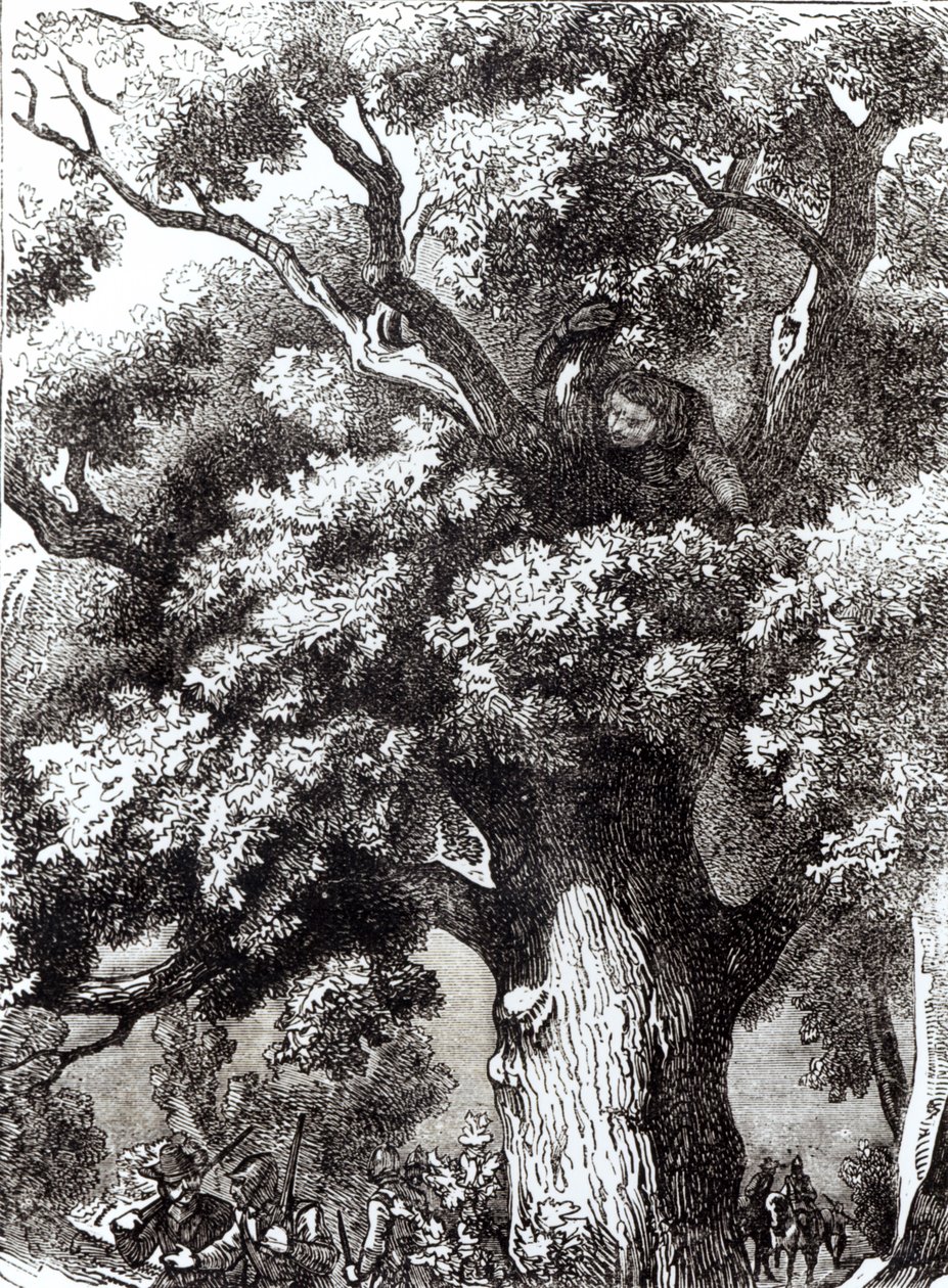 Charles II (1630-85) Hidden in the Oak Tree, 14th October 1651 by English School