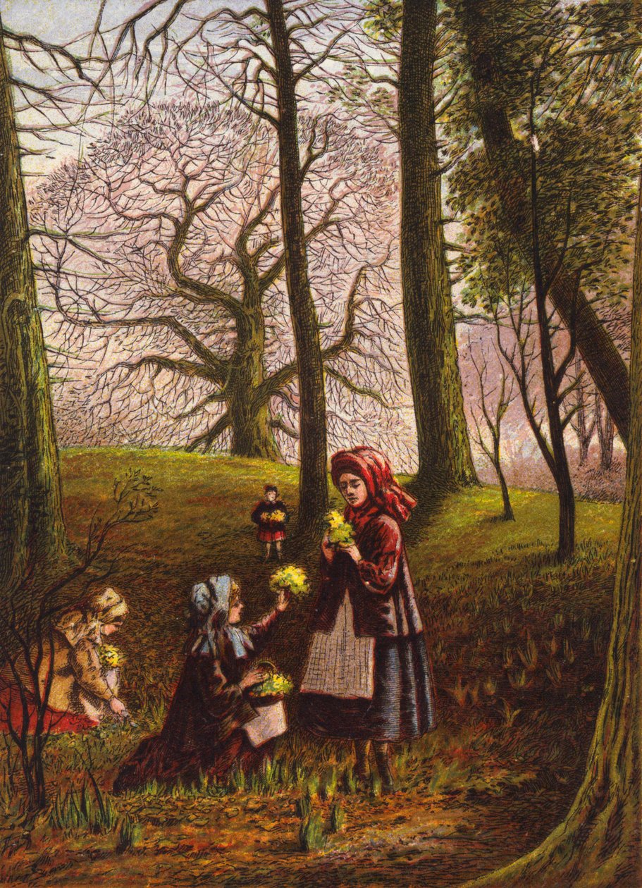 Children Picking Flowers in the Woods by English School