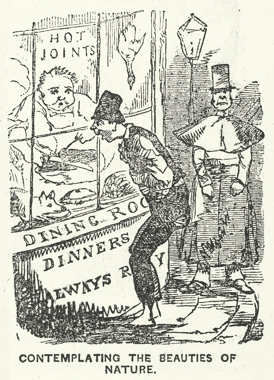 Contemplating the Beauties of Nature by English School