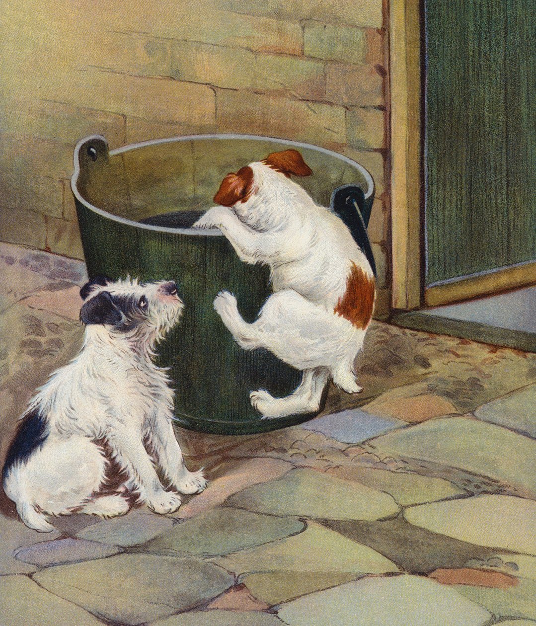 Curiosity by English School