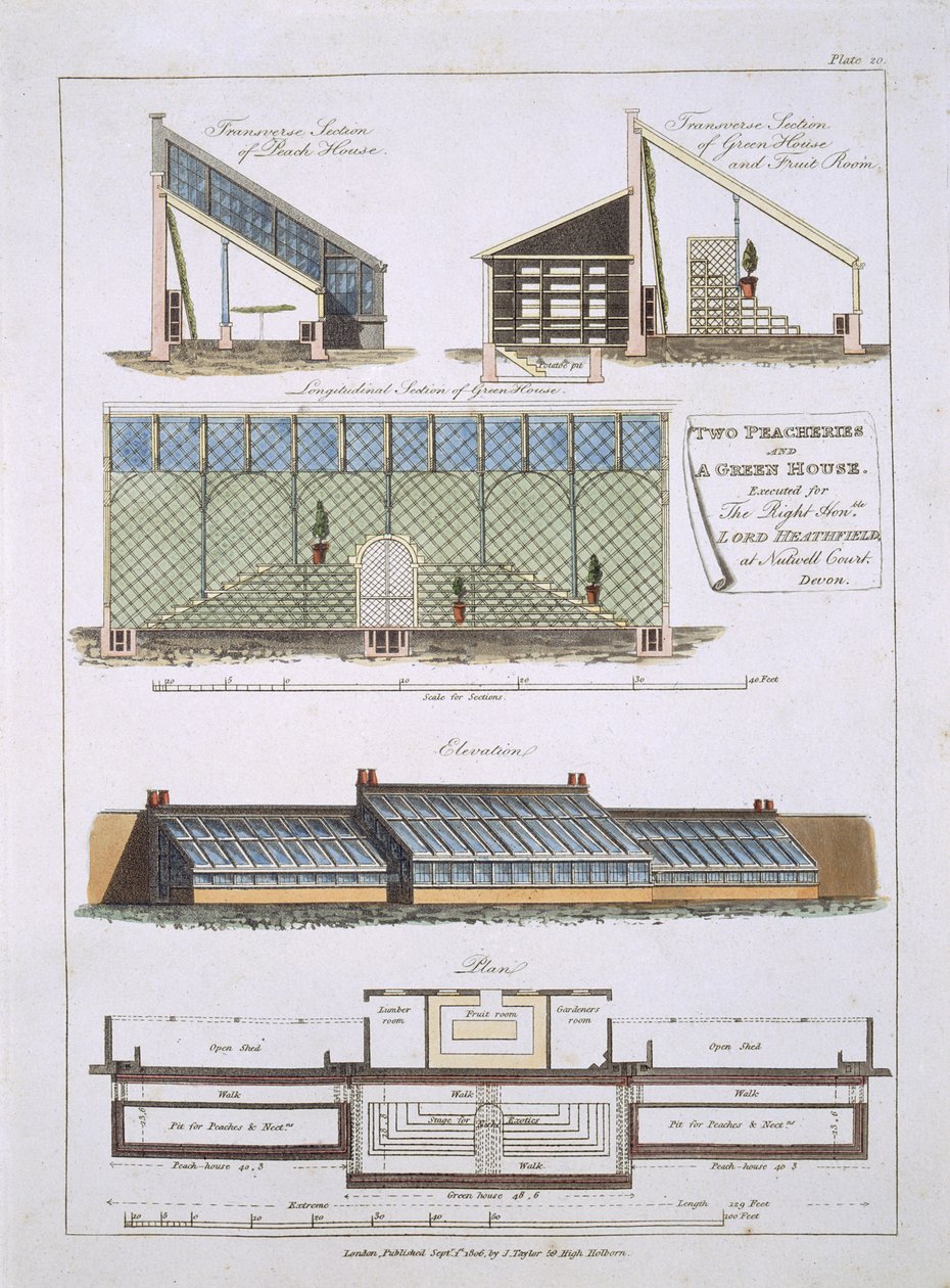 Design for Two Peacheries and a Greenhouse, 1806 by English School