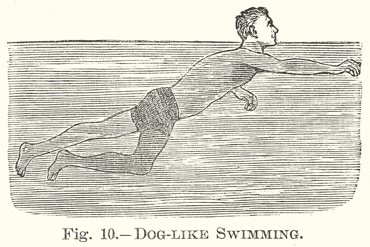 Dog-Like Swimming by English School