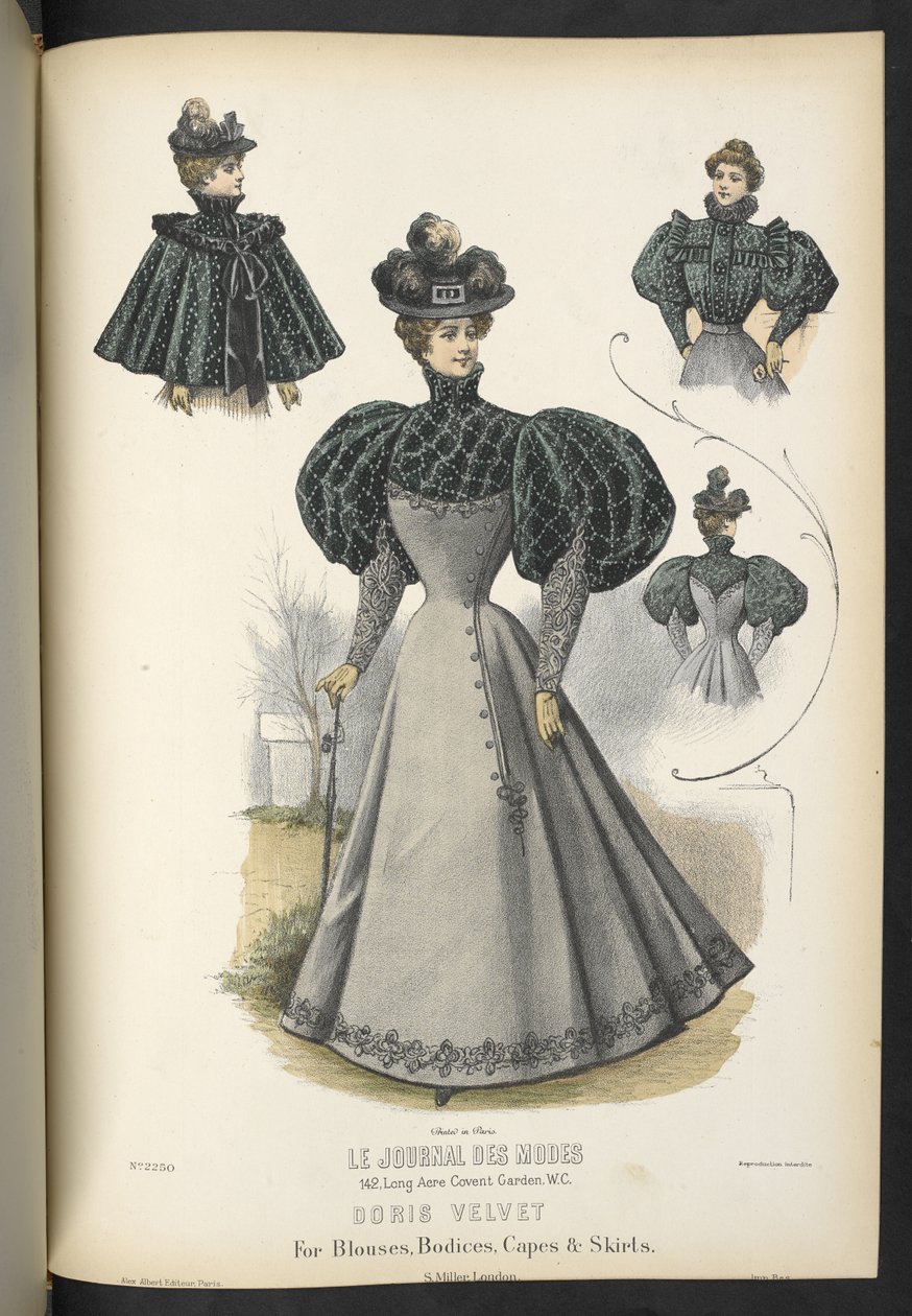 Doris velvet, For blouses, bodices, capes & skirts, Plate 2250, Doris velvet for blouses, bodices, capes & skirts, The Dressmaker and Milliner, 1895 by English School